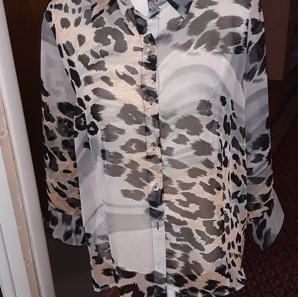 Sheer Nicola Brand Blouse